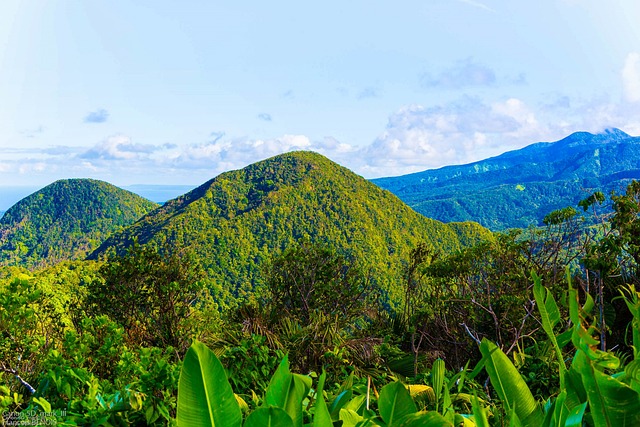 Guadeloupe